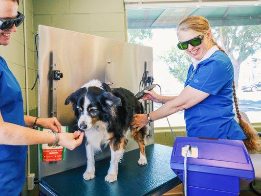 Westside Animal Hospital