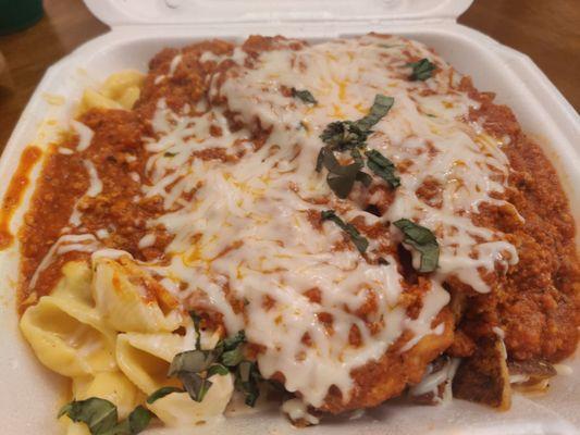 Yummy Pit Plate with Cheesy Shells chicken cutlets garlic roasted potatoes and meat sauce with Mozzarella cheese and fresh basil