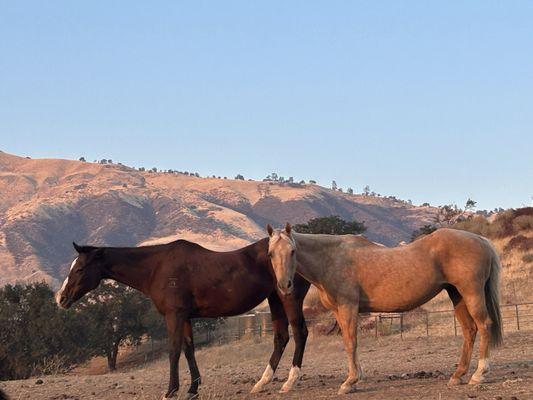 Bar SZ Ranch