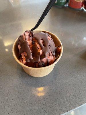 Strawberry Balsamic Sorbet with non dairy chocolate sauce