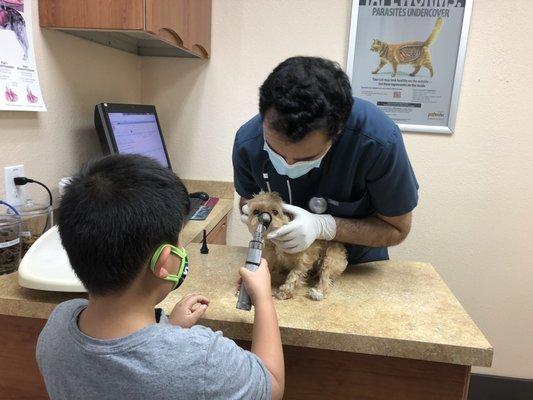 Dr. Singh examining our dog with the "help" from our son, who was worried for his pet.