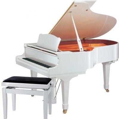 A White Piano is often appreciated for weddings and galas!