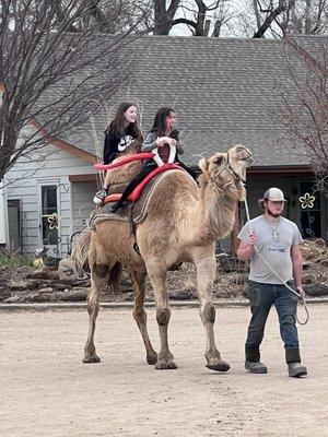 Camel rides.