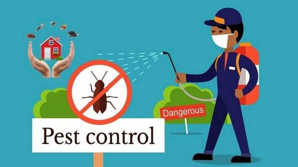 Best in  pest control