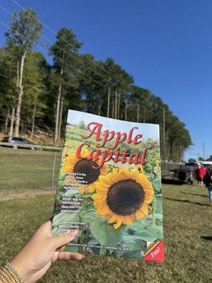 Georgia Apple Festival 2024