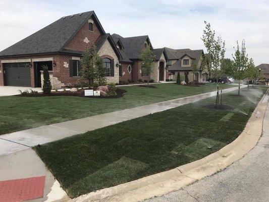 Full landscape, sod, irrigation