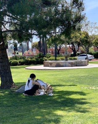 Nice park for a relaxing picnic