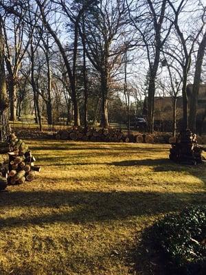 Nicely stacked wood piles and another great job by EZ Tree Care!!