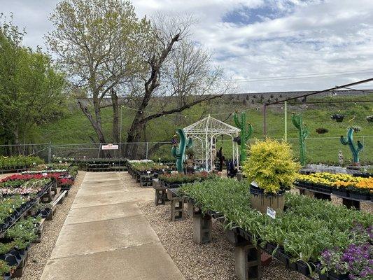 Spacious setting for outdoor plants.