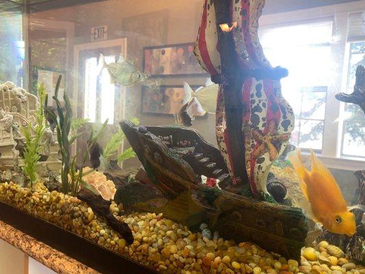 Gorgeous and calming fish tank in the waiting room! The orange fish follows me!