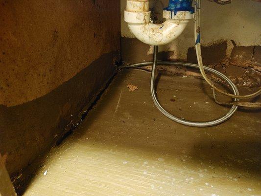 Under the kitchen sink at four winds in a "ready to rent" unit. Its rotted, and they are ok with that.