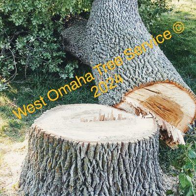 West Omaha Tree Service