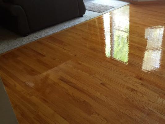 Hardwood Floor Care and Tile Cleaning