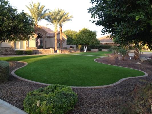 Front lawn after turf installation