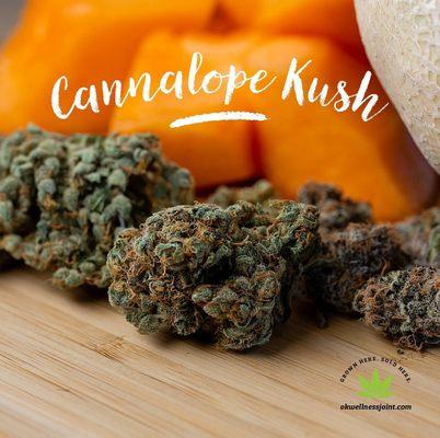 Cannalope Kush