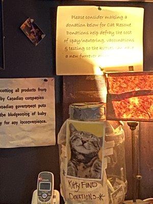 Kitty Tip Jar for Charity