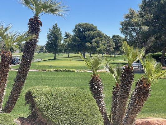 View from patio