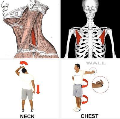 Quick stretches for work from home tension.