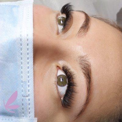 Mega-Volume Lash Extensions