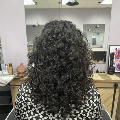 #specialistcurlycuts#balayage#highlights#lowlights