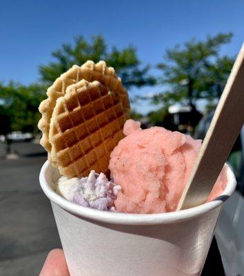 Blueberry Shortcake & Strawberry Moscato Sorbet