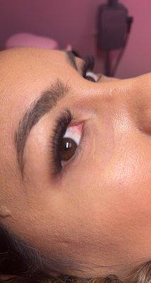 Volume Lashes