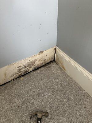 Wall Damage