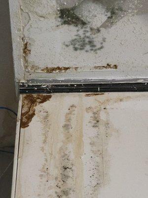 This was new drywall installed back in Nov 2021 in our garage. We originally called for service to diagnose the issue.