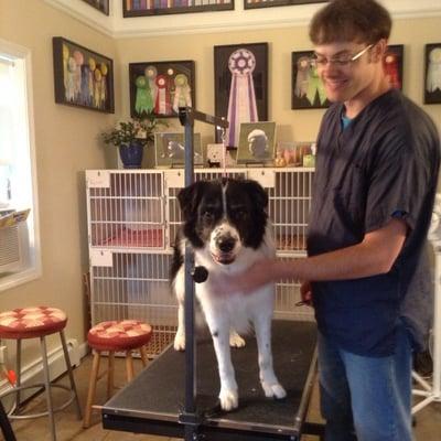 Thom with Bobbie, a border collie