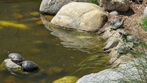 Conejo Creek South Park