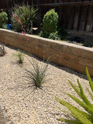 I choose California Gold rocks for the Perimeter of my yard.