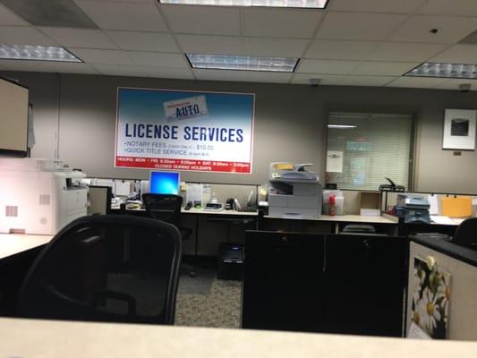 License service