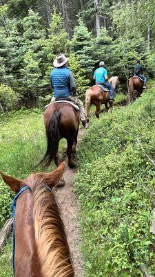 Trail ride