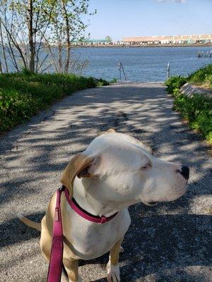 Chilling at the sound overlooking the airport.