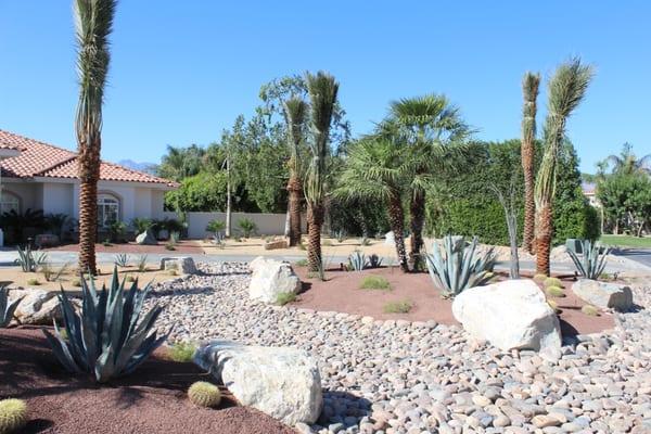 Newly-installed desert landscape at a private residence for water conservation purposes. In 30 days, we'll be untying the palm tress!