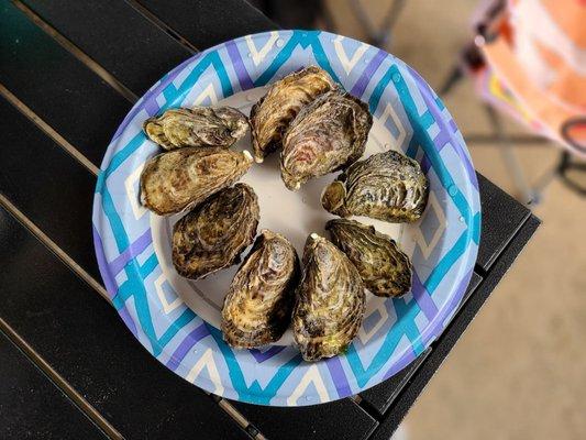 Kumamoto Oysters