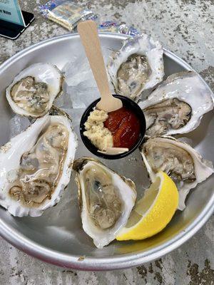 Oysters from Maine 10/10