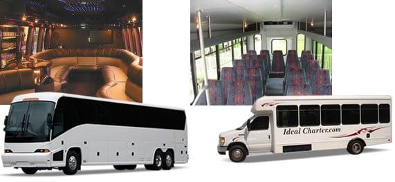 Ideal Charter Bus