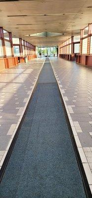 A surprisingly clean walkway