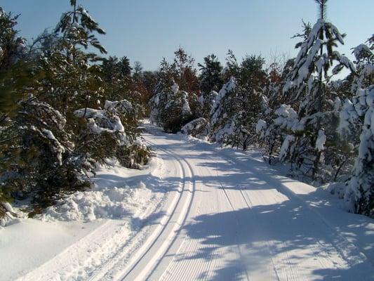 19km of meticulously groomed trails