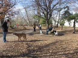 Proud Sponsor of the Shirlington Dog Park!  Rescue Dogs (and cats) Rock!