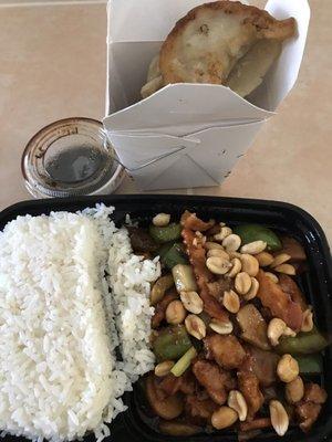 Fried potstickers and Szechuan chicken.