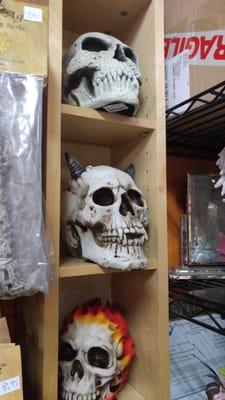 Skulls of any variety