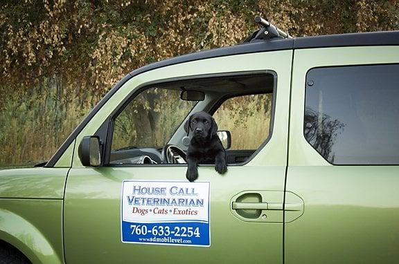 The original "mobile-vet-mobile"!  Yes, we also make house calls!