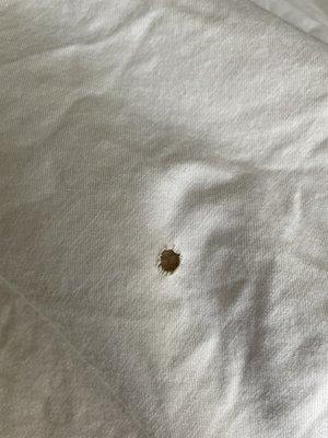 Cigarette burn in the "clean sheets"