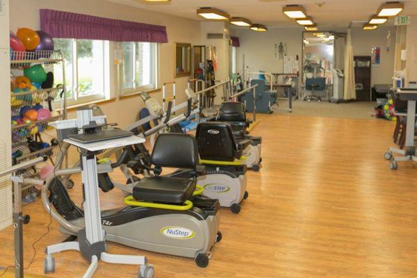 Villa Therapy Gym