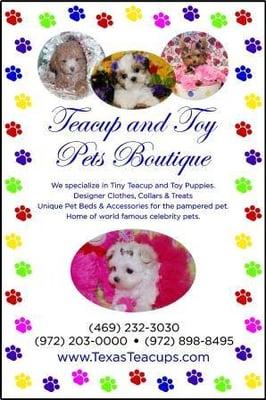 Teacup and Toy Pets Boutique now in Snider Plaza 6719 Hillcrest Ave Dallas TX 75205 www.TexasTeacups.com