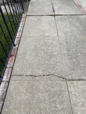 Over 60 year old sidewalk !