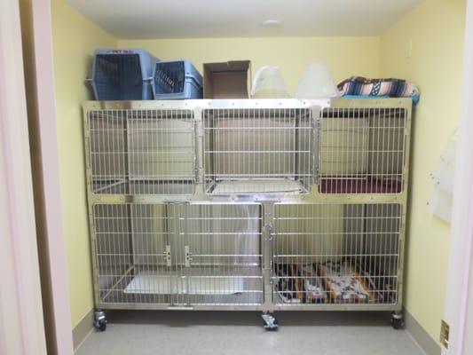 Our Cat Recovery Room