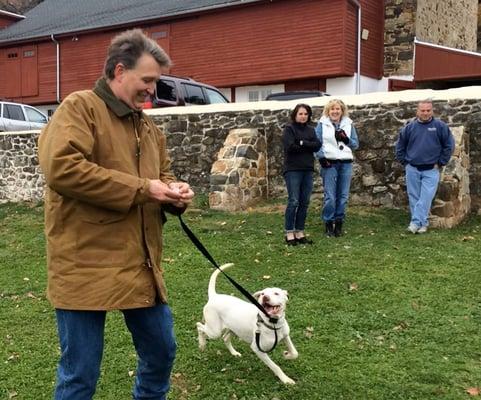 Hidden Fence owner Rich Weinssen training dogs at Main Line Animal Rescue, Chester Springs PA.